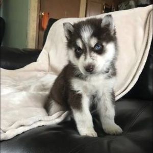 Meet your Posher, Margaret